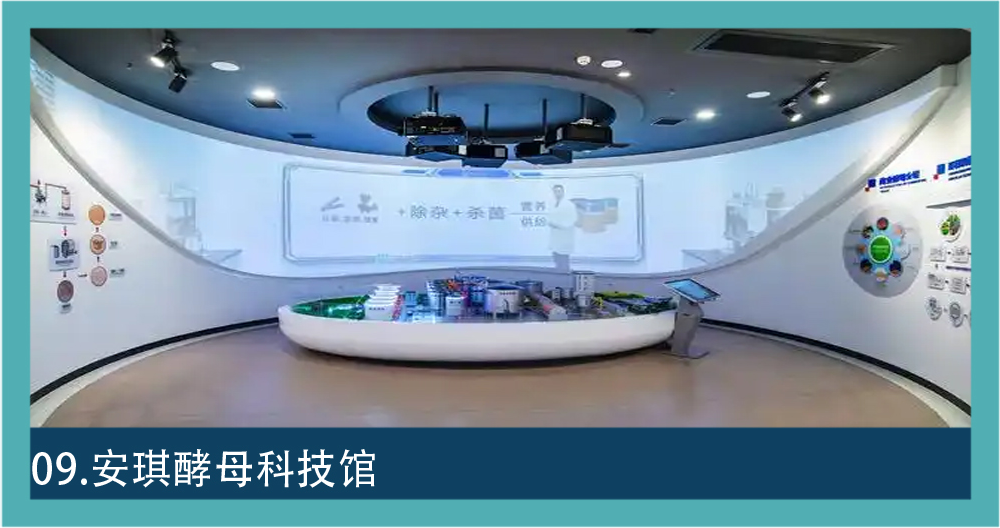 画面标注为安琪酵母科技馆，弧形展厅内设环幕投影、中央模型台和交互终端
